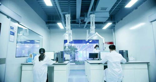 信息技术咨询服务助力企业应对阿斯巴甜2B类致癌物新规