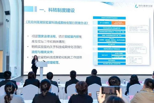 推动更多科技成果就地转化 信息技术咨询服务助力国家队实验室与大装置融合发展